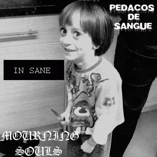 Mourning Souls : In Sane